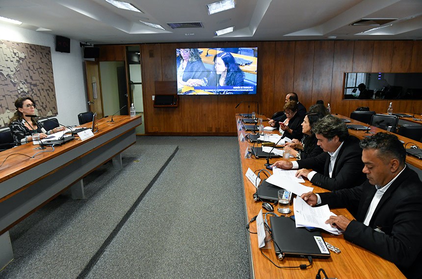 À mesa, vice-presidente da CCS, Patrícia Blanco, conduz audiência.