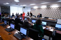 Comissão adia análise da criação da Semana do Lixo Zero