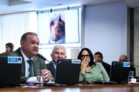 Comissão aprova Dezembro Verde para reflexão sobre o abandono de animais