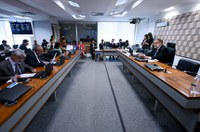 Marco do Sistema Nacional de Cultura é aprovado na CE e vai a Plenário