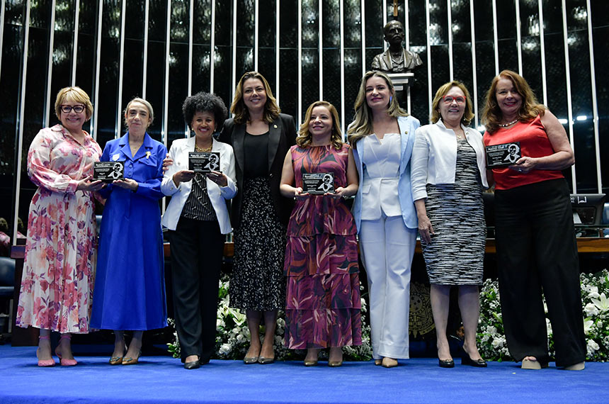 CAE aprovou nesta semana projeto que prioriza mulheres vítimas de violência doméstica no Bolsa Família - Foto: Edilson Rodrigues/Agência Senado