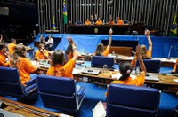 Plenário e CDH aprovam projetos sugeridos pelo Programa Jovem Senador