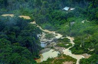Congresso analisa crédito de R$ 1,62 bi para proteção de território Yanomami