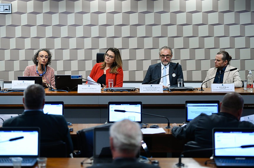 Mesa: 
diretora de Planejamento e Administração do Instituto do Patrimônio Histórico e Artístico Nacional (Iphan), Maria Silvia Rossi, em pronunciamento;
presidente da CMA, senadora Leila Barros (PDT-DF), conduz audiência;
professor de Geofísica da Universidade de Brasília (UnB), José Vicente Elias Bernardi;
coordenador da Associação Guardiões das Águas Emendadas (GAE), Marcelo Benini.