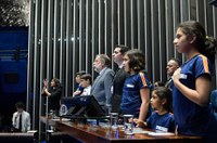 Em sessão, participantes pedem homologação de parecer que garante atendimento a alunos com TEA