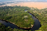 CCJ pode votar projeto que reduz reserva legal em imóveis rurais da Amazônia