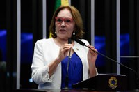 Projeto que perdoa débitos de empresas incentiva sonegação, diz Zenaide