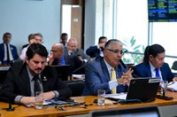 Comissão de Segurança Pública ouve português retido em Guarulhos