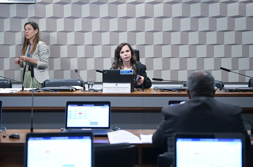 Bancada:
senador Zequinha Marinho (Podemos-PA); 
senadora Damares Alves (Republicanos-DF); 
senador Paulo Paim (PT-RS).