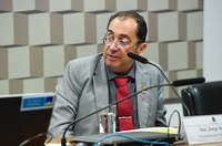 Subcomissão que analisa ativos ambientais vota plano de trabalho