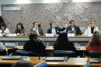 Debatedores discordam sobre tributação de redes sociais de vídeos