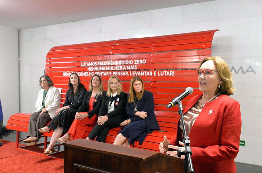 Participam:
senadora Teresa Leitão (PT-PE); 
deputada Maria Arraes (Solidariedade-PE);
diretora-executiva do Instituto Banco Vermelho, Paula Limongi;
presidente do Instituto Banco Vermelho, Andrea Rodrigues;
diretora-geral do Senado Federal, Ilana Trombka.