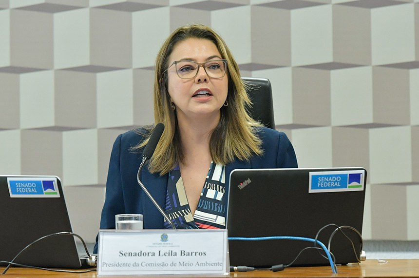 À mesa, presidente da CMA, senadora Leila Barros (PDT-DF), conduz reunião.