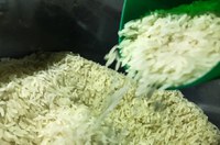 Autorizada importação emergencial de um milhão de toneladas para não faltar arroz