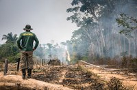 CMA analisa projeto que destina área de queimada ilegal ao reflorestamento