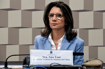 À mesa, secretária nacional de Mudança do Clima do Ministério do Meio Ambiente (MMA), Ana Toni.