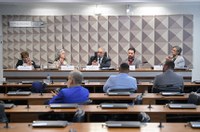 Debate na CDH aponta dificuldades da informalidade no setor da cultura