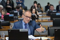 CAE autoriza empréstimo de US$ 86,1 milhões entre Espírito Santo e Bird