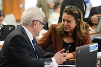 CE vota por arquivar projeto que trata de cotas raciais no ensino superior e técnico