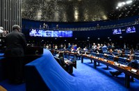 Prioridade no atendimento às vítimas de violência doméstica segue para sanção