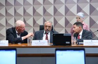 Comissão externa lista as propostas prioritárias ao RS