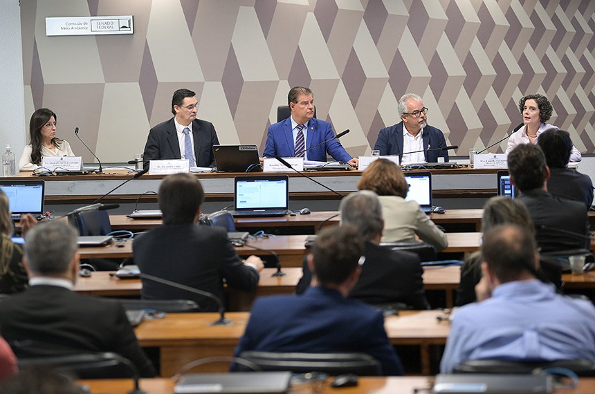 Mesa: 
presidente da Associação Brasileira de Pequenas Centrais Hidrelétricas e Centrais Geradoras Hidrelétricas (ABRAPCH), Alessandra Torres de Carvalho;
diretor de Assuntos Socioambientais do Instituto Acende Brasil, Alexandre Uhlig;
presidente eventual da CMA, senador Nelsinho Trad (PSD-MS);
secretário executivo do Observatório da Governança das Águas, Angelo Lima;
diretora da Associação Brasileira das Empresas Geradoras de Energia Elétrica (Abrage), Camilla Fernandes, em pronunciamento.