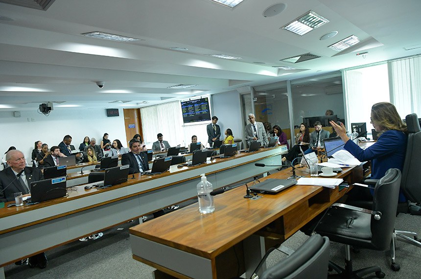 Bancada: 
senador Ireneu Orth (PP-RS); 
senador Carlos Portinho (PL-RJ).