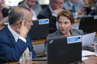 CAE aprova debate sobre projeto que veda agrotóxico em áreas secas