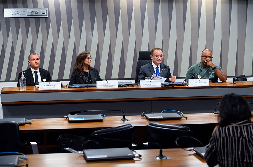 Mesa: 
superintendente executivo da Associação Brasileira de Resíduos e Meio Ambiente (Abrema), André Galvão;
coordenadora de Relações Institucionais e Governamentais Associação Brasileira do Biogás (ABiogás), Ludmilla Cabral;
presidente eventual da CMA, senador Zequinha Marinho (Podemos-PA);
representante da Associação Nacional de Catadores e Catadoras de Materiais Recicláveis (MNCR), Ronei Alves da Silva.