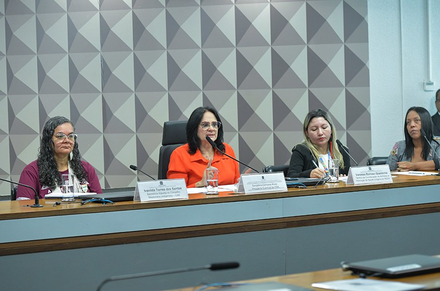 Mesa: 
secretária adjunta do Conselho Missionário Indigenista (Cimi), Ivanilda Torres dos Santos; 
presidente eventual da CDH, senadora Damares Alves (Republicanos-DF), conduz audiência;
técnica da Coordenação de Atributos e Promoção de Saúde Indígena da Sesai, Vanessa Barroso Quaresma; 
linguística e pesquisadora, Márcia Suzuki; 
indígena Funiô, Maria Aureni Gonzaga da Silva.