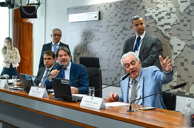 Mesa: 
secretário de Desenvolvimento Econômico do Ceará, Salmito Filho;
presidente da CEHV, senador Cid Gomes (PSB-CE);
relator da CEHV, senador Otto Alencar (PSD-BA).