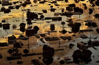 Congresso analisa crédito de R$ 124 milhões para apoio a municípios gaúchos