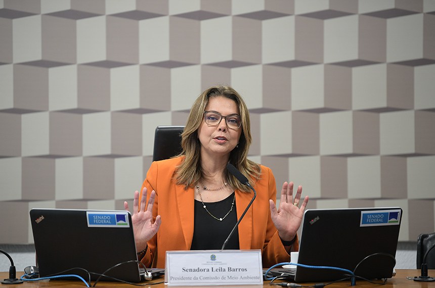 Mesa: 
presidente da CMA, senadora Leila Barros (PDT-DF);