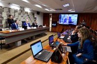 Comissão da Lei do Processo Estrutural aprova plano de trabalho