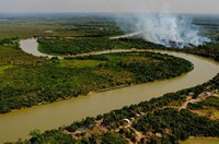 Estatuto do Pantanal está na pauta da Comissão de Meio Ambiente