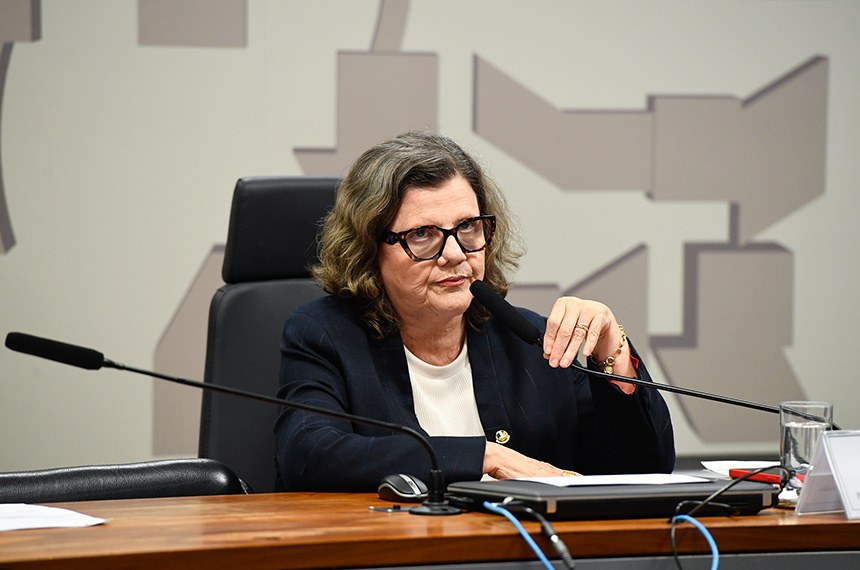 À mesa, relatora da PL 4681/2019, senadora Teresa Leitão (PT-PE), conduz reunião.