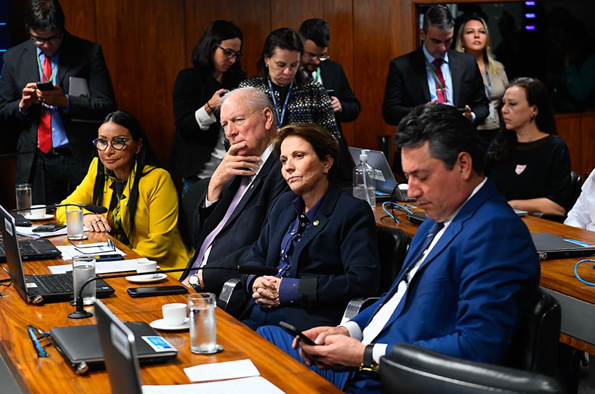 Bancada:
deputada Silvia Waiãpi (PL-AP); 
senador Ireneu Orth (PP-RS); 
senadora Tereza Cristina (PP-MS); 
deputado Sergio Souza (MDB-PR).