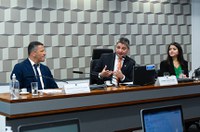 Inclusão do esporte no vale-cultura divide a opinião de debatedores na CE