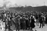 Aprovada criação do Dia Nacional da Lembrança do Holocausto