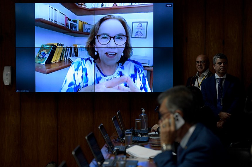 Bancada:
senador André Amaral (União-PB); 
senadora Janaína Farias (PT-CE); 
relator da PLP 202/2021, senador Laércio Oliveira (PP-SE);
senadora Margareth Buzetti (PSD-MT).