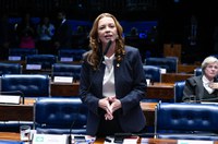 Plenário confirma aval para Banco do Nordeste obter US$ 300 milhões do BID