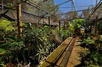 Senado inaugura espaço de educação ambiental, que receberá visitas