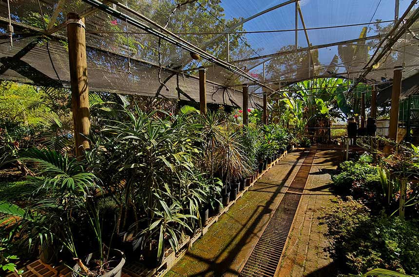 Para conhecer o Viveiro do Senado, agende uma visita guiada, pelo telefone (61) 3303-2706.