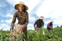 CRA tem na pauta programa nacional para jovens agricultores
