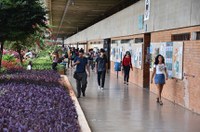 Sancionada lei que equipara intercâmbio internacional a estágio