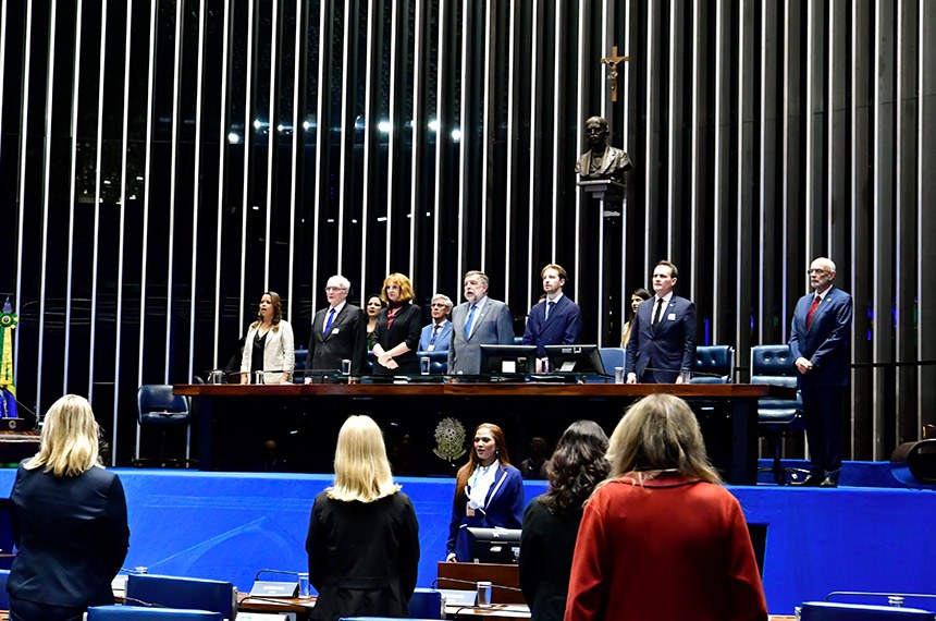 Mesa: 
diretora do Colégio Estadual Professora Eliane Martins Dantas - Brasil-Alemanha, Deise Perfeito; 
historiador e membro da Academia Brasileira de Letras, Arno Wehling; 
embaixadora da Alemanha em Brasília, Bettina Cadenbach;
presidente e requerente desta sessão, senador Flávio Arns (PSB-PR); 
secretário desta sessão; 
juiz de Direito em Santa Catarina e ex-Conselheiro do Conselho Nacional de Justiça (CNJ), Márcio Schiefler Fontes; 
diretor de Relações Internacionais da Coordenação de Aperfeiçoamento de Pessoal de Nível Superior (Capes), ex-reitor da UFRGS, professor e administrador público, Rui Vicente Oppermann.