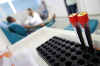 Sancionada criação do Dia Nacional do Hematologista e do Hemoterapeuta