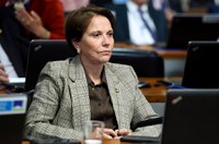 CAE aprova isenção de PIS/Pasep e Cofins para farelo e óleo de milho