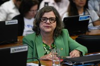 Comissão de Educação fará ciclo de debates sobre novo PNE