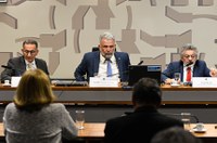 Reestruturação da Sudam deve considerar mudanças na indústria, aponta audiência